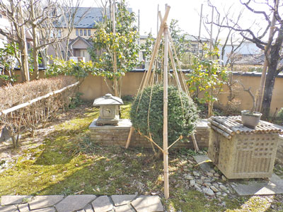 趣きのある庭