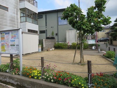 西側の公園