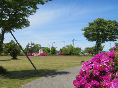 四季折々の花が咲き散歩コースにおススメです