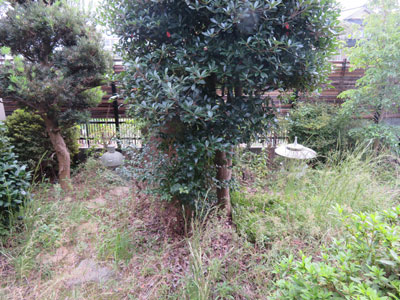 中庭 お手入れをしてプライベート空間を楽しめるお庭あり