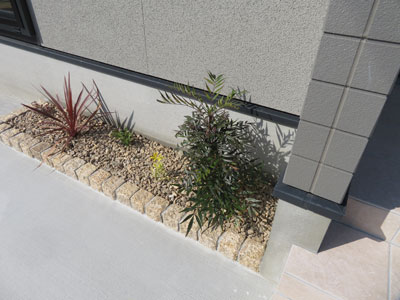 玄関前の植栽
