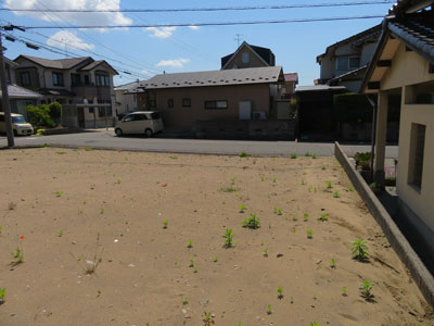 現地土地写真